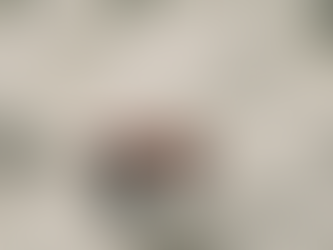 2026 Spring Break Destinations