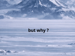But Why? - The Penguin Phenomenon