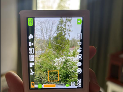 Phone vs Digi Camera