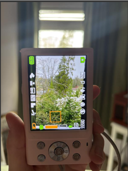 Taking a picture using a digi camera. Image by Piper Lipon.