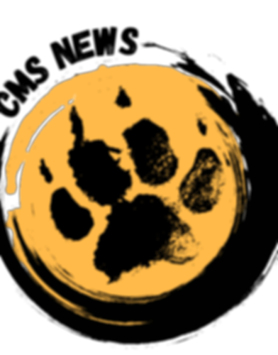 CMS NEWS 3 (1).png