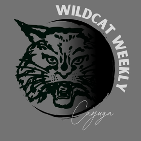 Wildcat Weekly Vol.4 Week 35