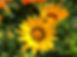 26-6_AN2.jpg