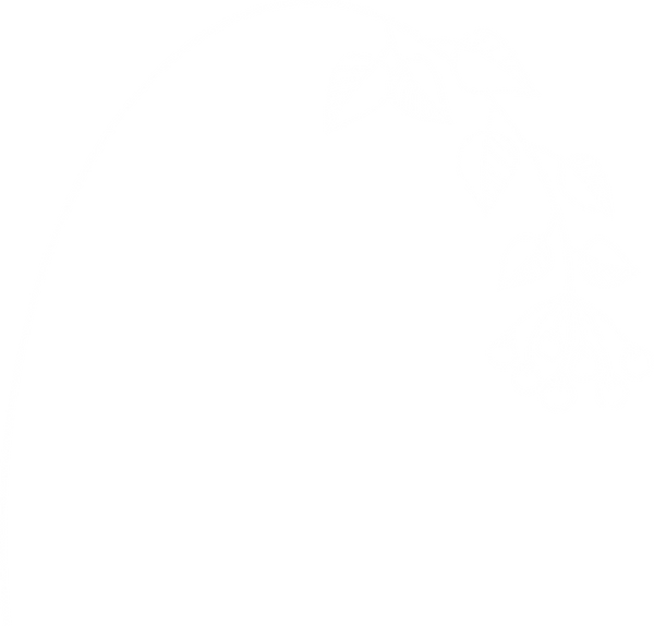 swoop flower_edited_edited.png