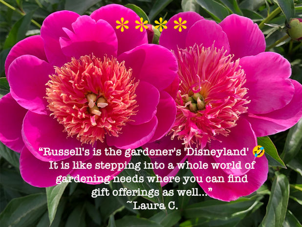 4 star review of russells garden center Wayland, MA