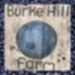🫐 Burke Hill Farm Organic Maine Wild Blueberry Delivery🫐