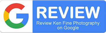 Google Review Button.png