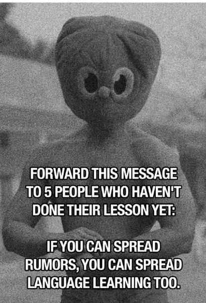 WhatsApp Image 2025-05-13 at 2.55.30 PM copy.jpeg