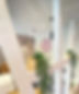 IMG_5625.JPEG