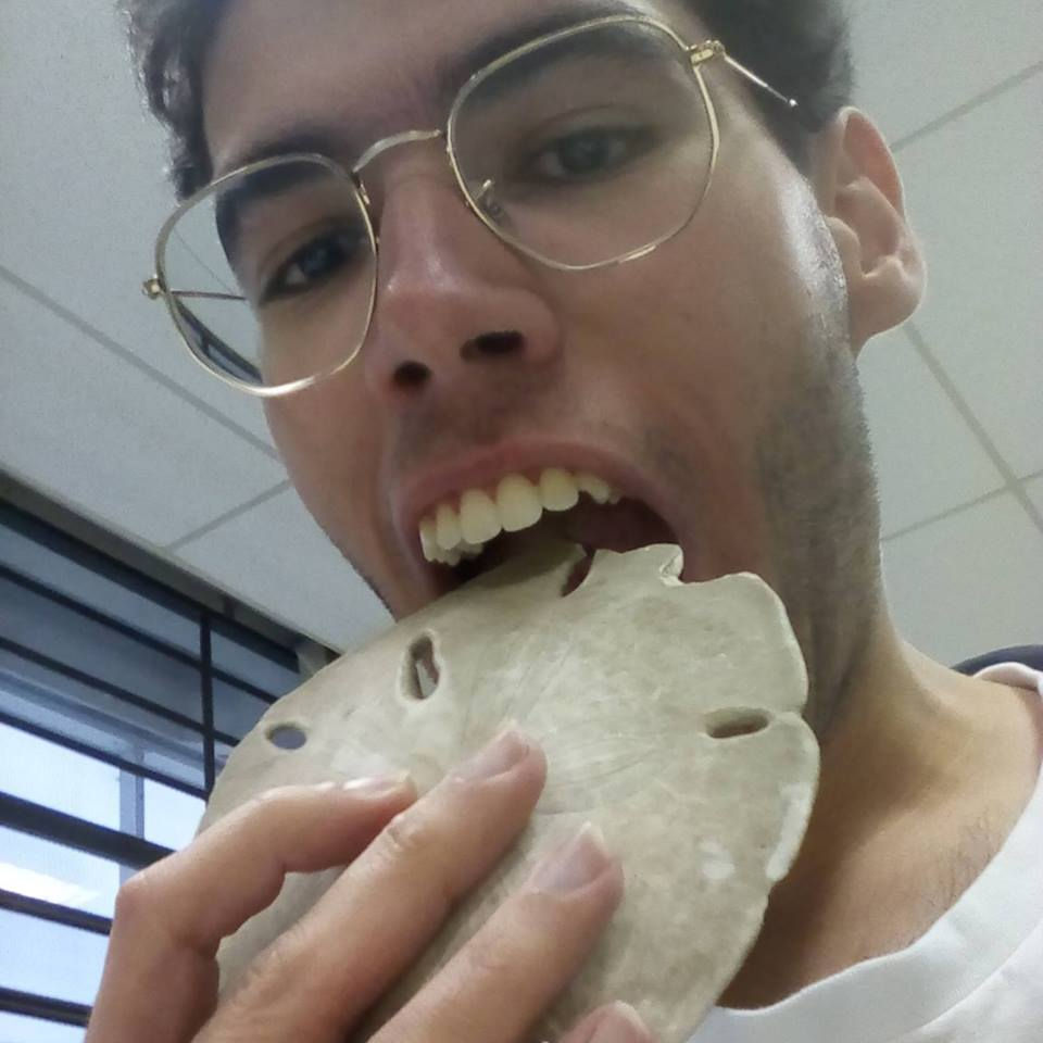 bito