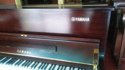 46344378_580132325750395_423007446762101