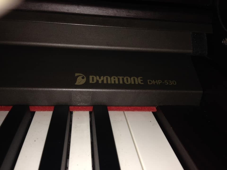 Thumbnail: DYNATONE DHP 530