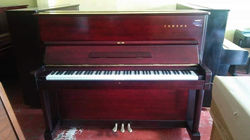 48419159_1130742087076382_64836604293556