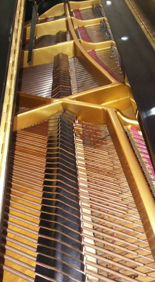 Thumbnail: Baby Grand Piano