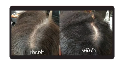 Our Services (11).png