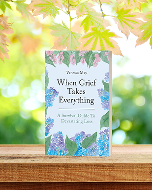 When Grief Takes Everything by Vanessa May
