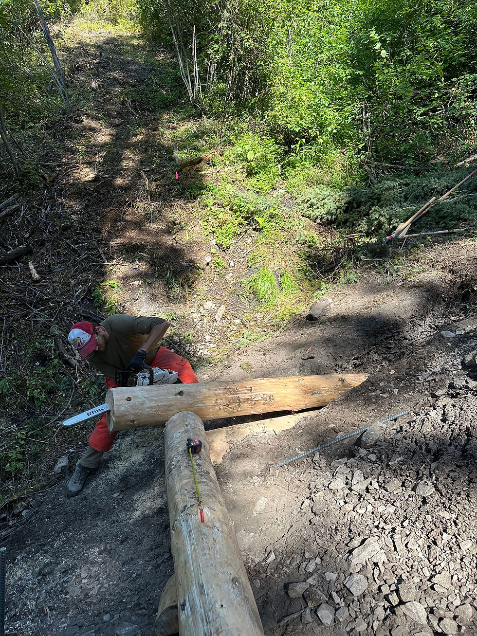 Ranger Silas showing off his chainsaw skills