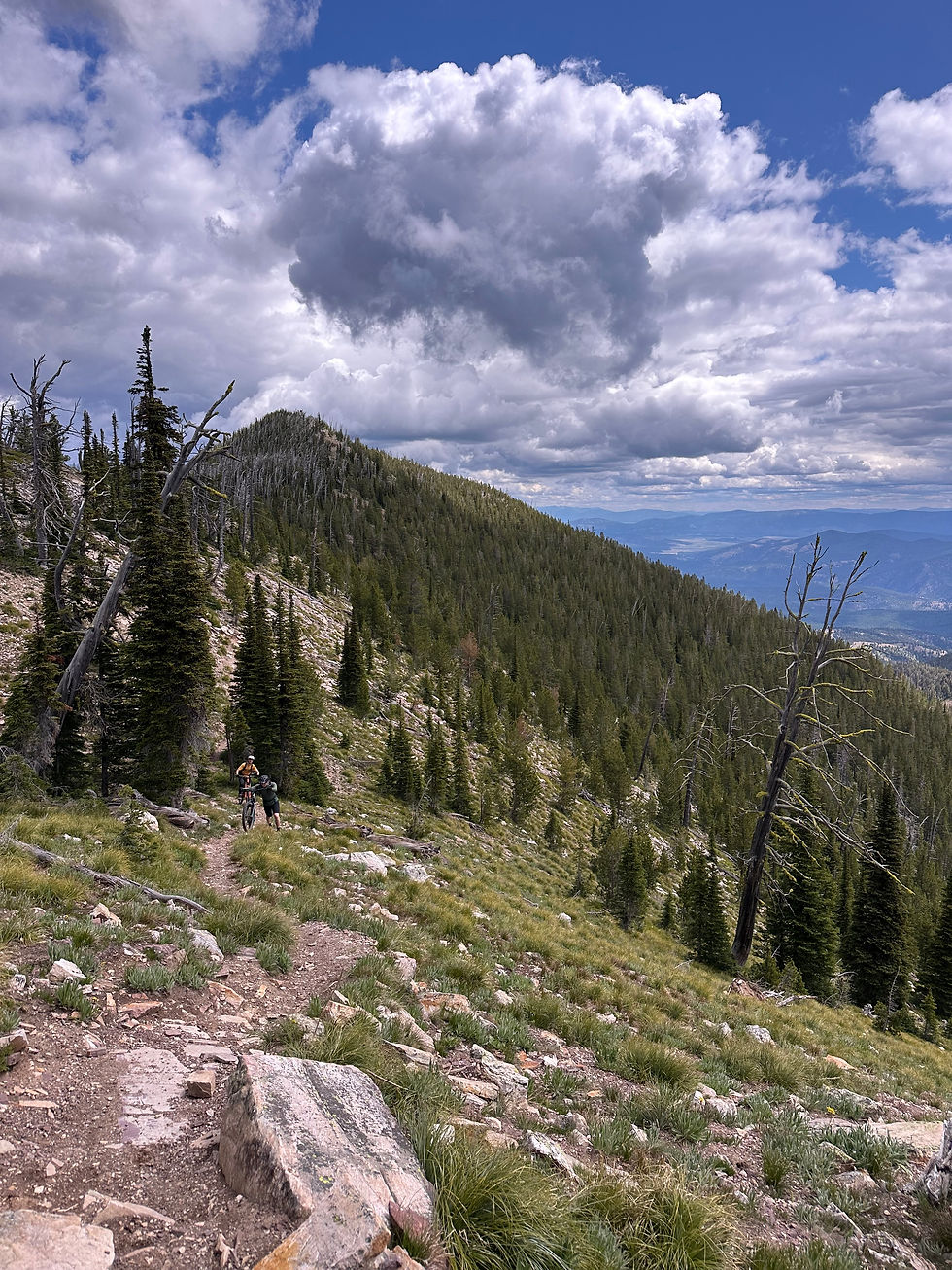 Backcountry Ride - Sheep Mountain