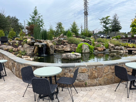 Landscaping company in Greenville SC with patio and water feature outdoor space