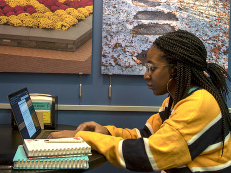 Student publication plants seeds of empowerment