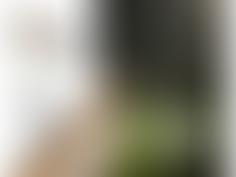 A New Day – Honey and Bees NZ Calls for Members and Fresh Leadership