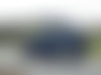 The Beekeeper with Innovative Engineering Touch