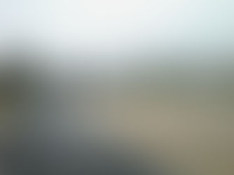 Honey Season ‘25-26 – Early Potential Not Realised, Again