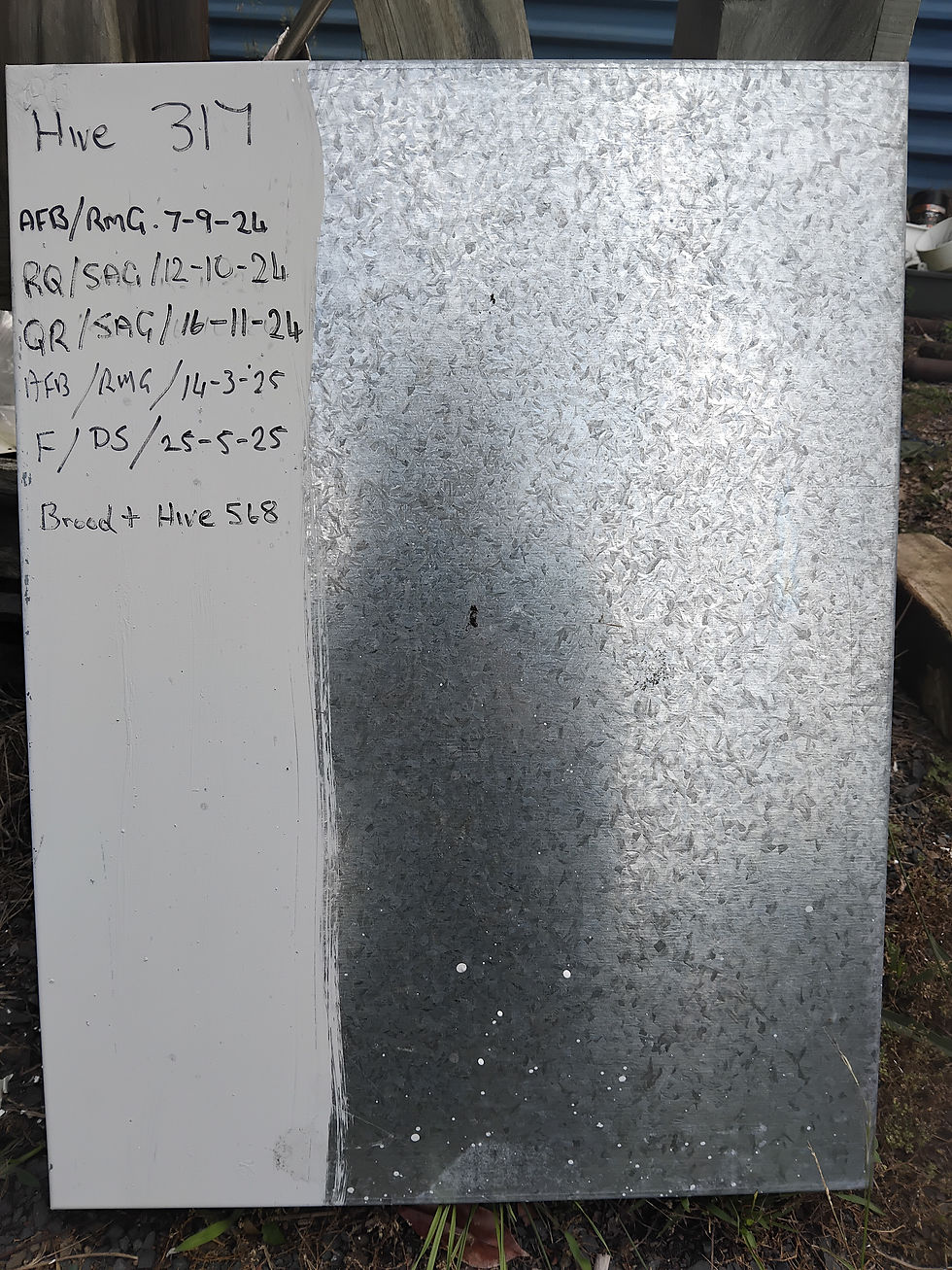 Writing on the hive lid, a tried-and-true form of in-apiary record keeping.