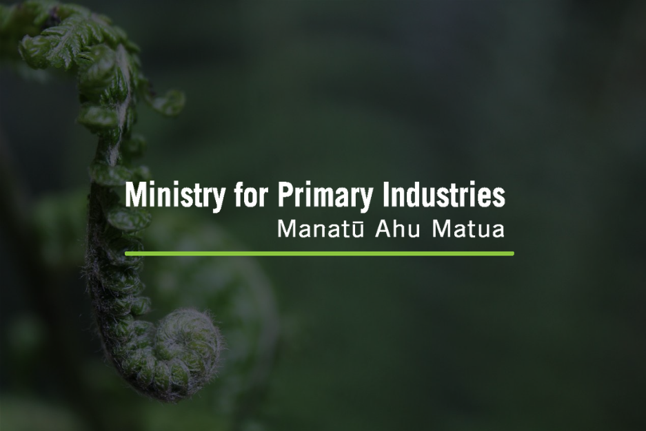 MPI Still Working Behind the Scenes on Honey and Bee Alliance