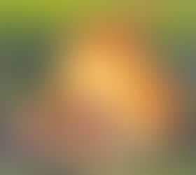 Big Burn Off in Canterbury