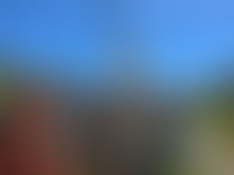 In a Pickle – A Beekeeper’s Truck-Up