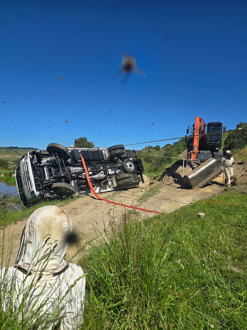 By the time it came to righting the unladed truck, there were plenty of bees in the air.