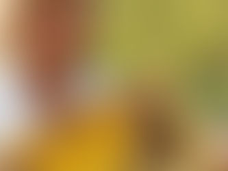 Ilona Hart, Kaitiaki Kai, Food Guardian