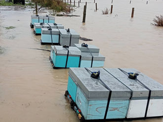 Floods Leave Lasting Damage