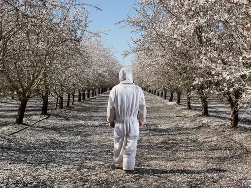 Technology Should Empower Beekeepers, Not Replace Them