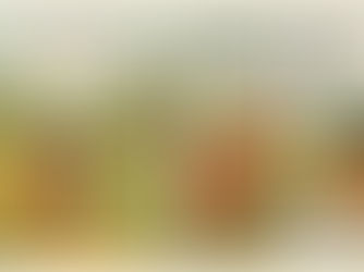 Comvita & the China Brick Road