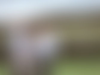 Mānuka Orchard: Honey Services that Bear Fruit