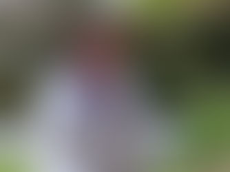 Introducing Dr Mark Goodwin, ‘the Scientific Beekeeper’, and Keeping Records