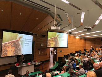 Varroa Pains, Bee Brains and Pollen Grains – Takeaways from the 2025 Honey Bee Research Symposium