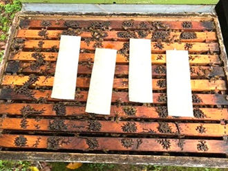 Swedish Cloth Strips - A Game Changer in the USA!