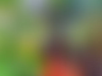 Hornet Response – A View Beyond Auckland Needed, and Beekeepers Implored to Act Now 