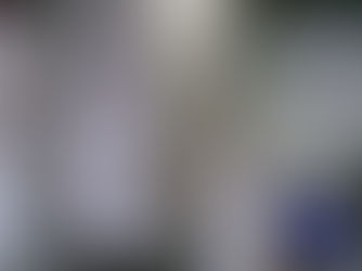 Inside Ashburton Apiaries