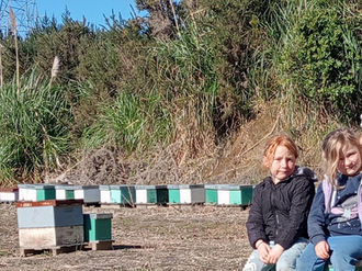 It's the Holidays – Time to Bee Kids