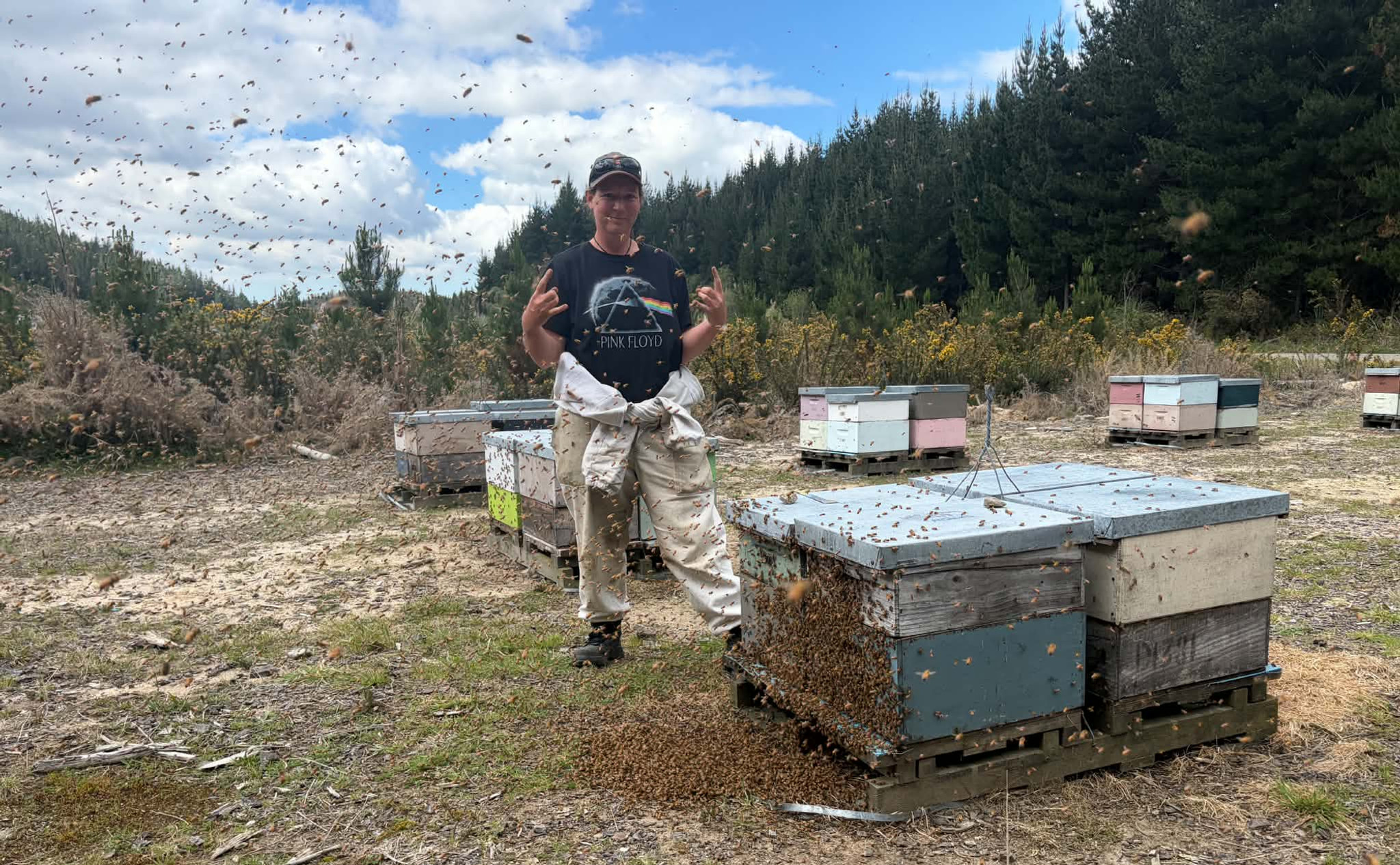 From the Darkside of the moon to the Bay of Plenty, Aimz is rocking into October low on time and on the run around the beehives.