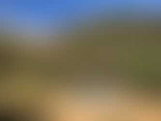 Beekeeper Wellbeing: Weather and Working Outdoors