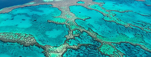 Great Barrier Reef_edited.jpg