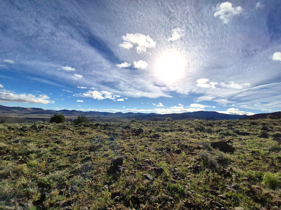 Horizon view of land in Northern Nevada with a blue sky and sage bushes