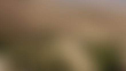 Proef de eigengemaakte ricotta en zie hoe deze wordt gemaakt tijdens je verblijf bij Villa Dafne