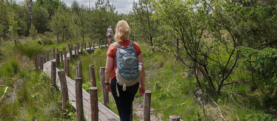 Wandel over vlonderpaden op de wandelroute Boswandeling Spier in Nationaal Park Dwingelderveld