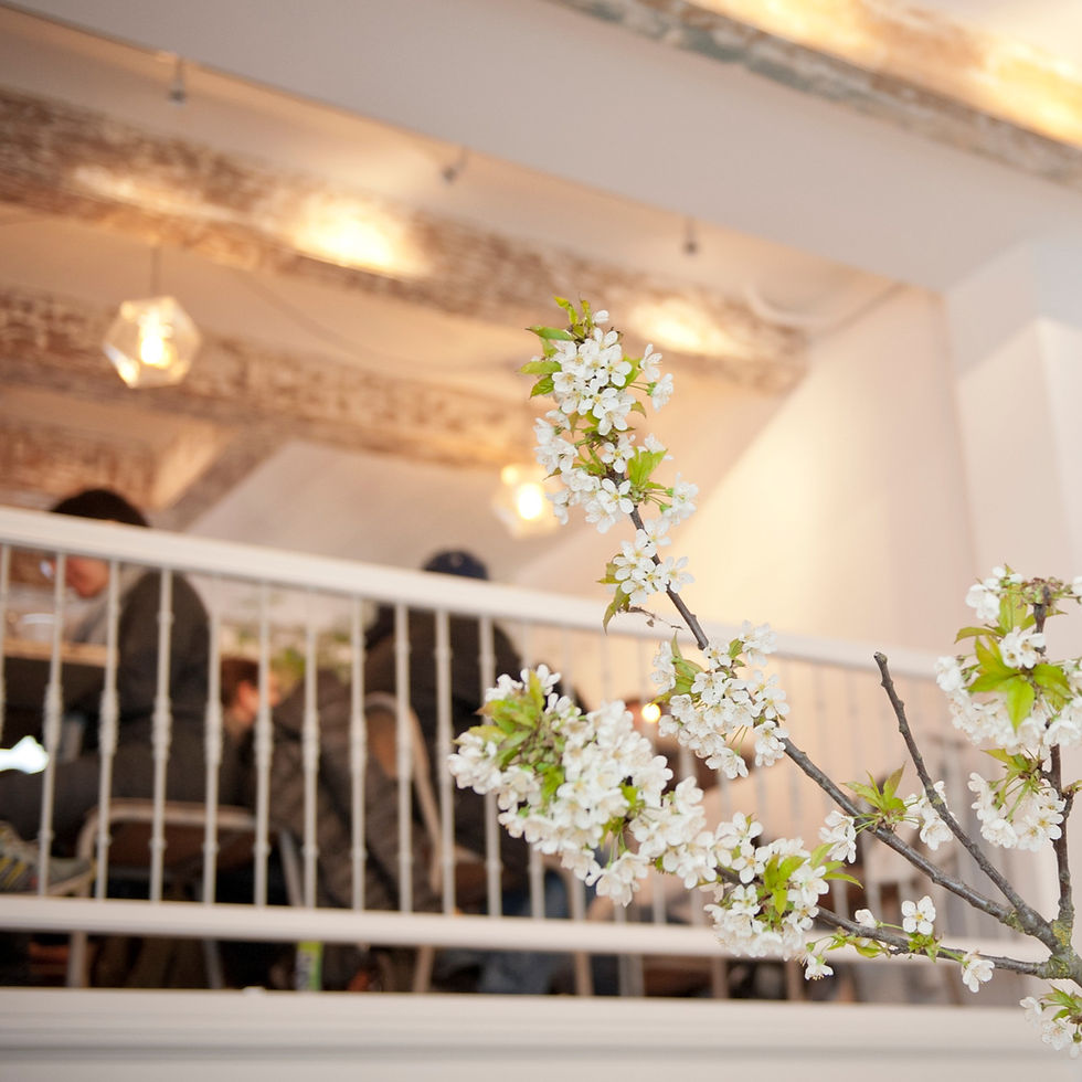 Ontdek healthy food bij Pluk Amsterdam in de 9 Straatjes